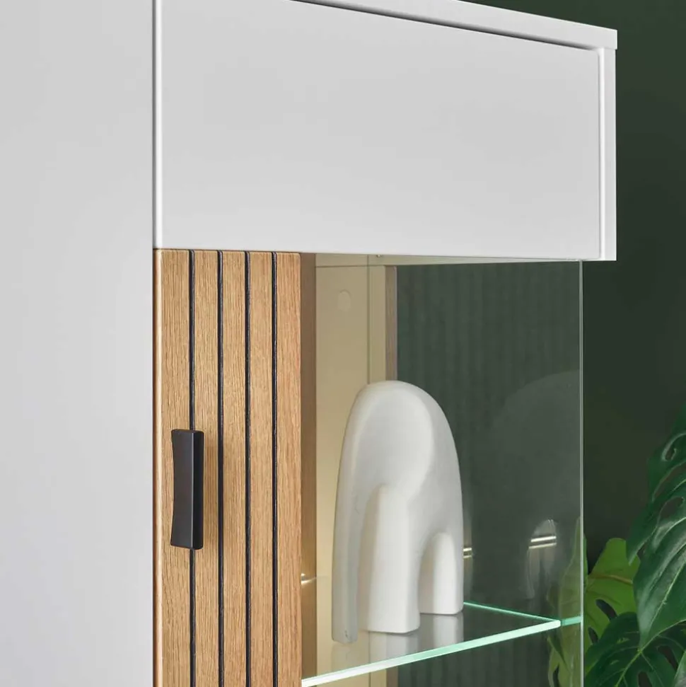 Fernseher Schrankwand modern Saladd