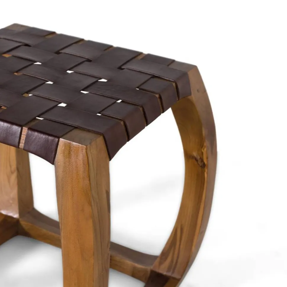 Hocker Baptus