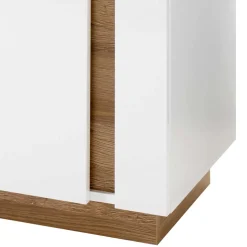 Standvitrine Franvos